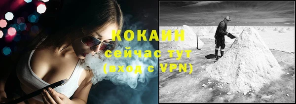 apvp Коряжма