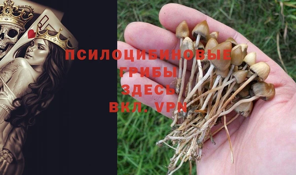 MESCALINE Костерёво